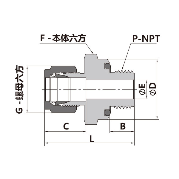 卡套转NPT外螺纹直通（外螺纹根部O型圈密封）