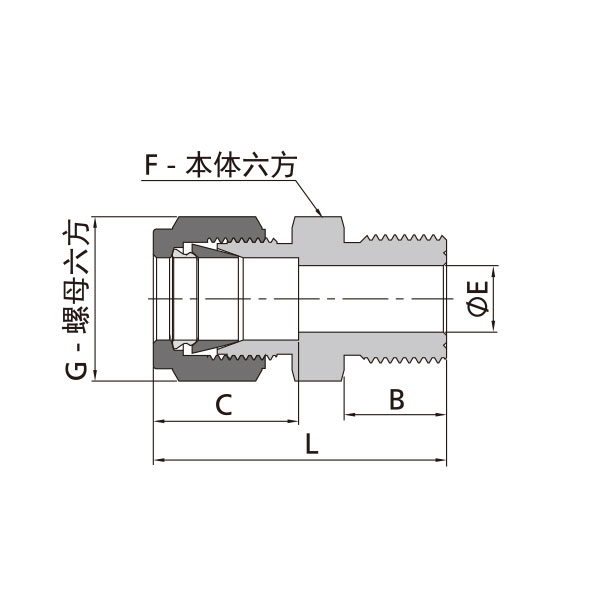 公制卡套转公制外螺纹直通（外螺纹顶部垫片密封）