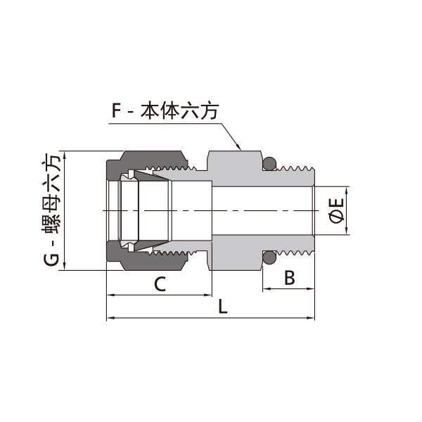 公制卡套转SAE/MS螺纹直通